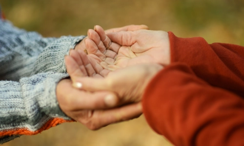 Close up of elderly friends' hands with one cupped under the other